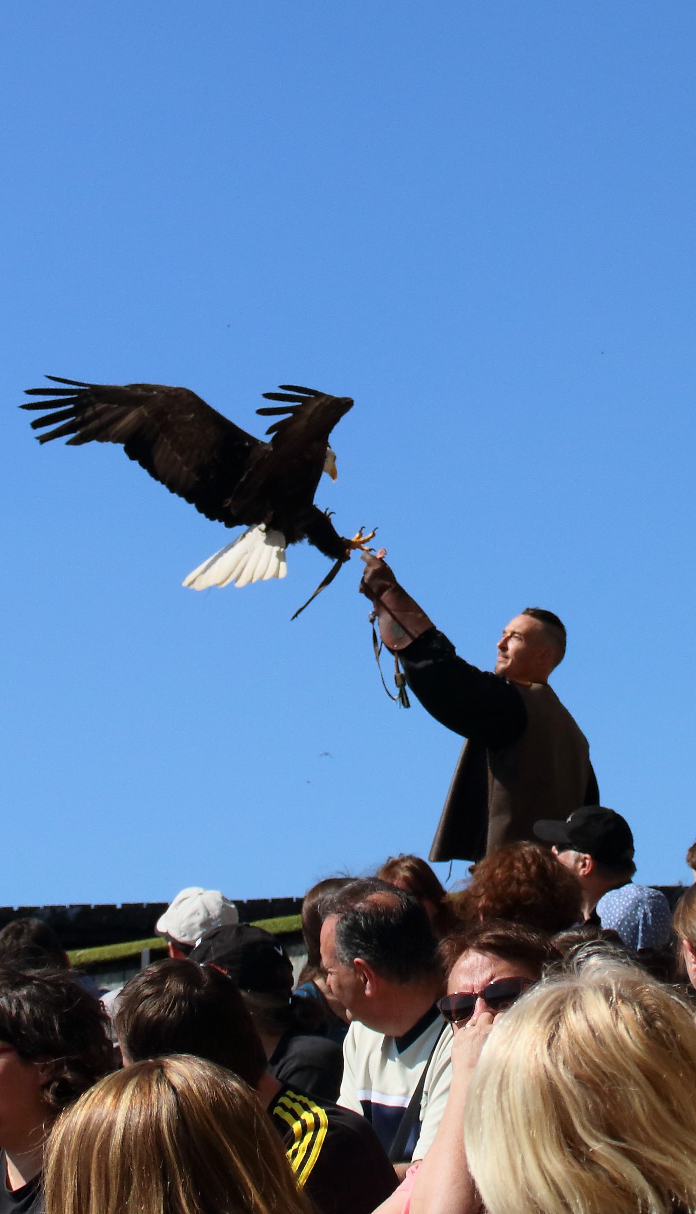 Les Géants du Ciel de Chauvigny