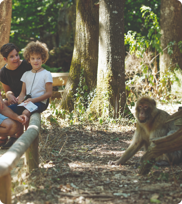 La Vallée des Singes